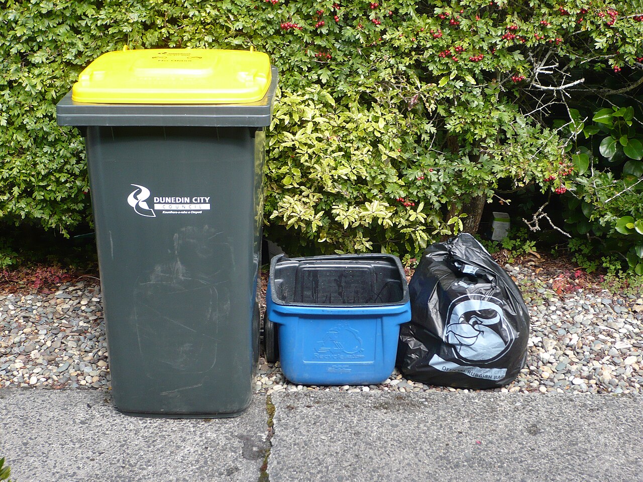 A residential wheelie trash bin at the curb