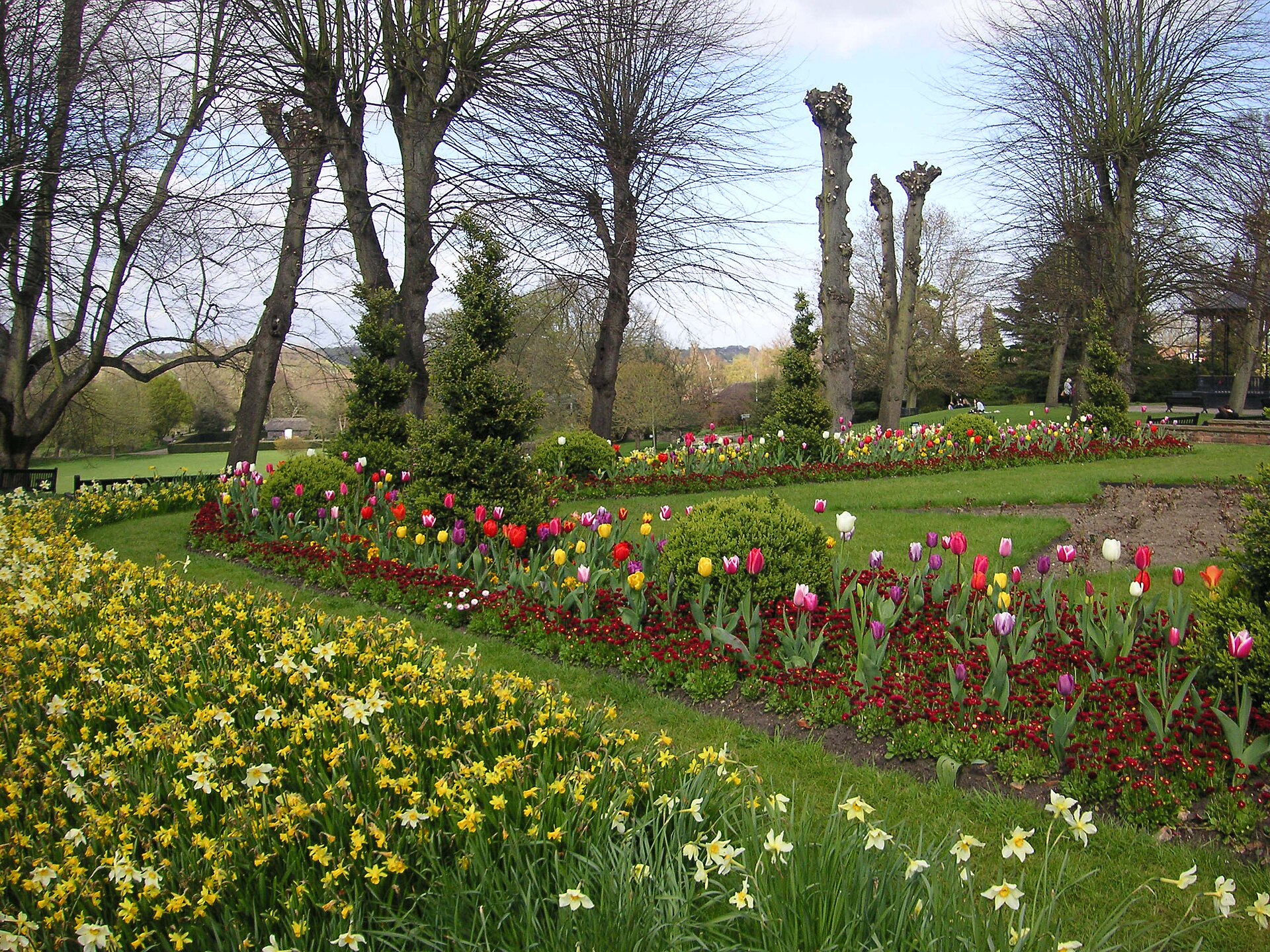 Spring tulips and daffodils — the seasonal window for bin deep-cleaning
